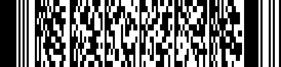PDF417 versioonis barcode example